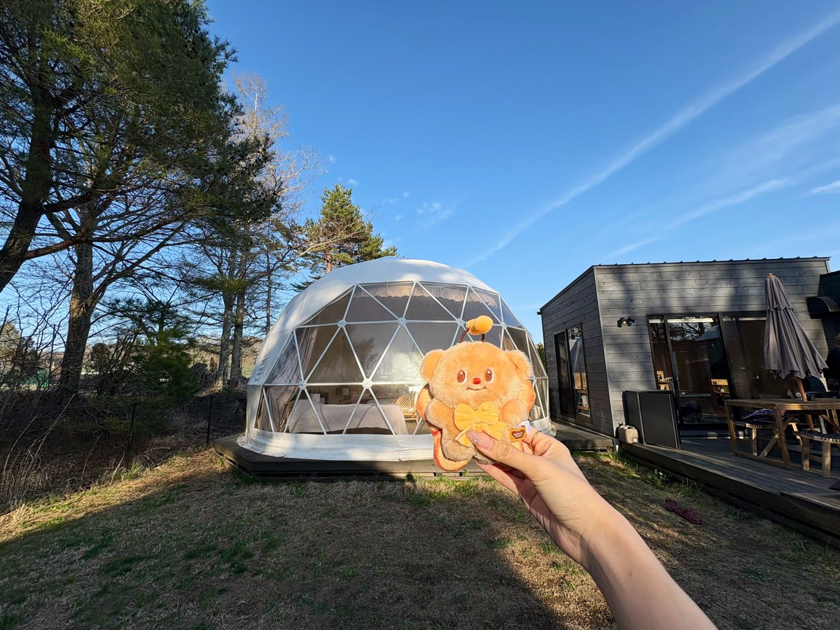 あちゃん❗️ tweet media