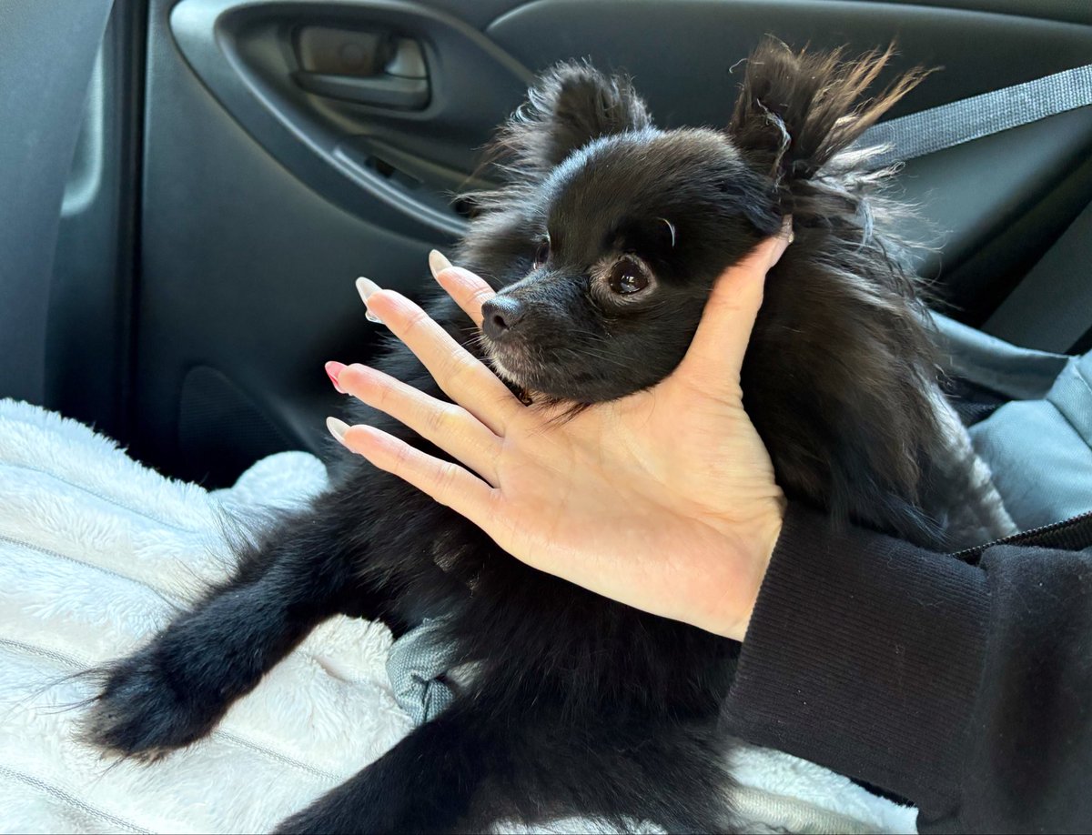 あちゃん❗️ tweet media