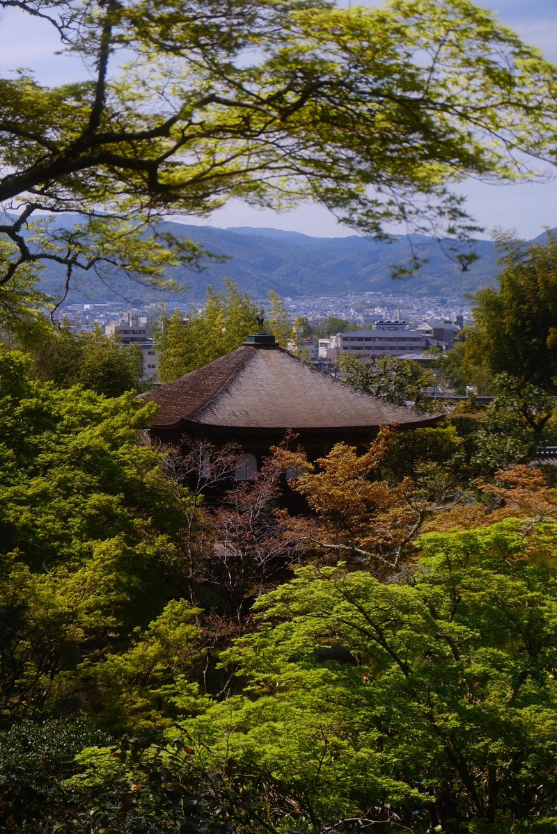 ちよこ tweet media