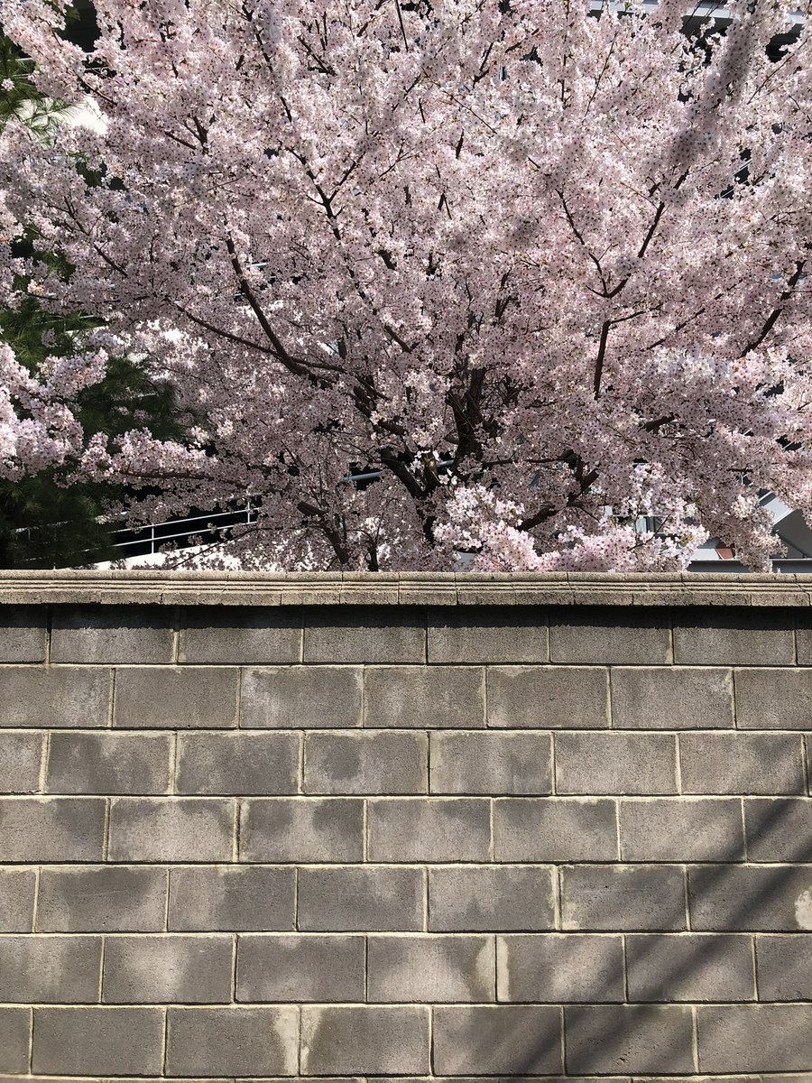 만약에 tweet media