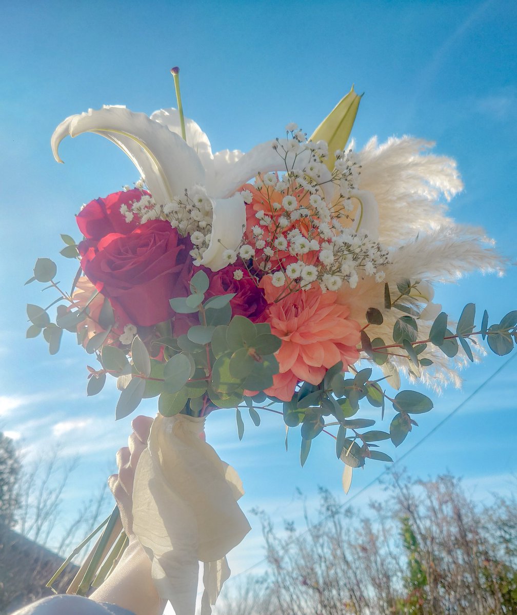 チョコ tweet media