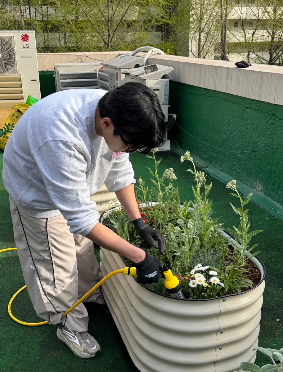 Jayri🌷햇살이🌞 tweet media