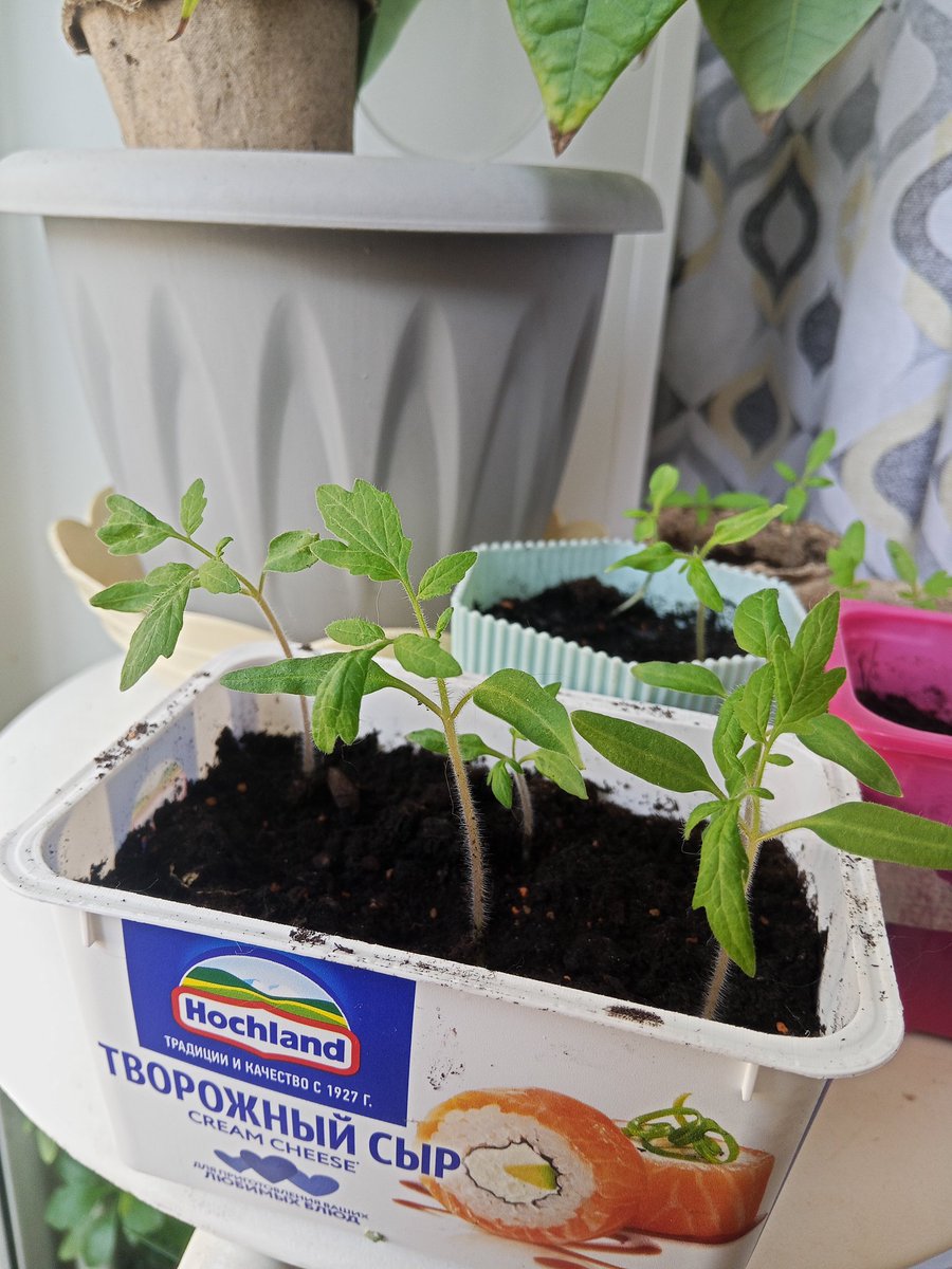 relationsheep tweet media