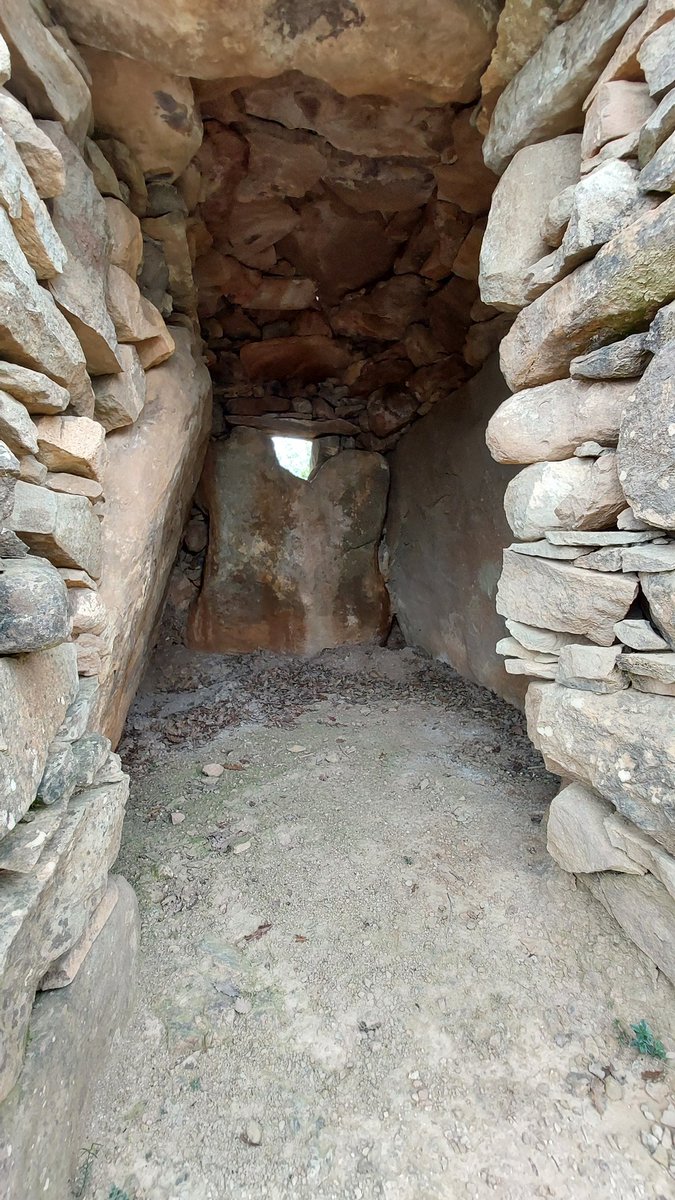 Camins de Sikarra tweet media