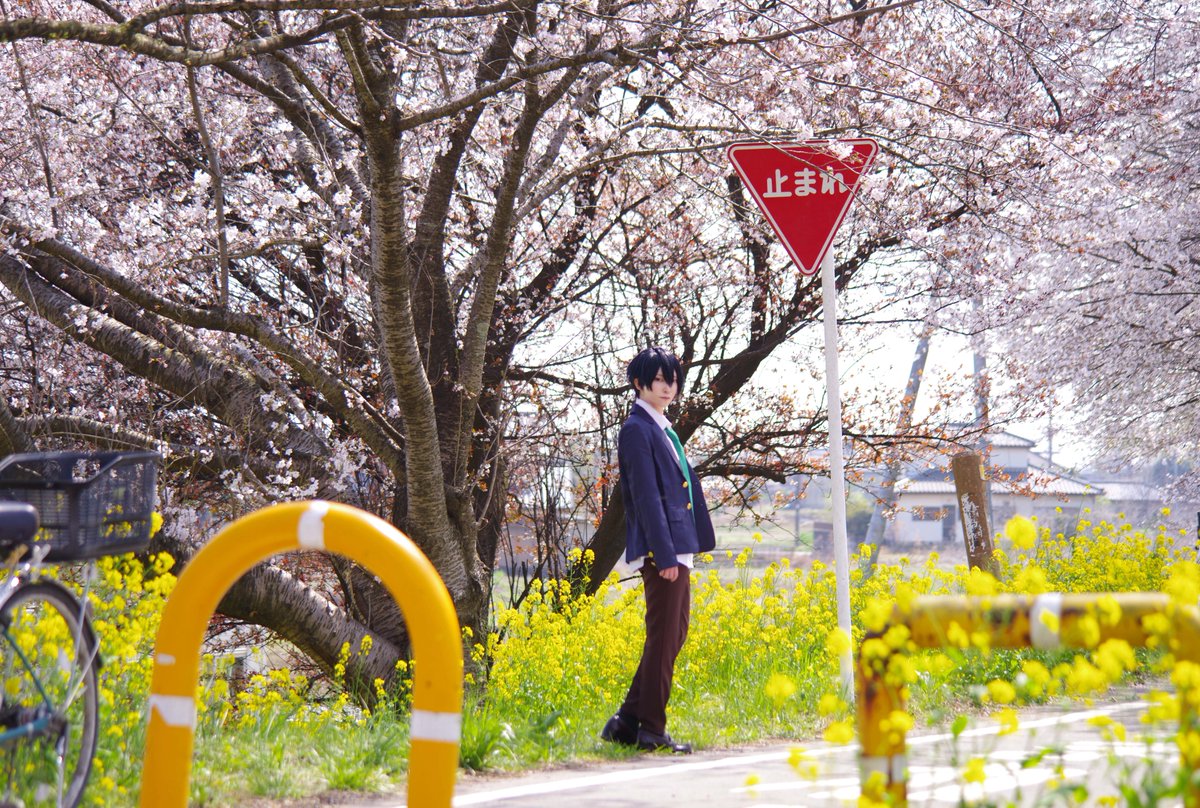 さなだ tweet media