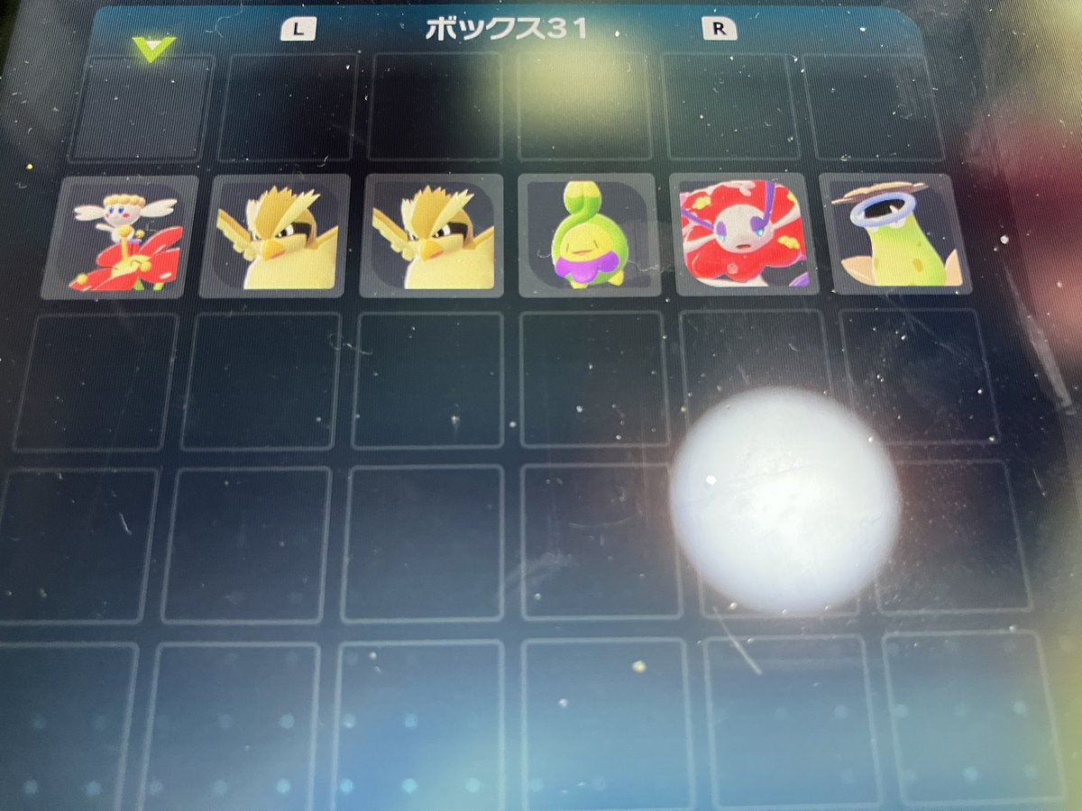 テルルン@ポケモン tweet media