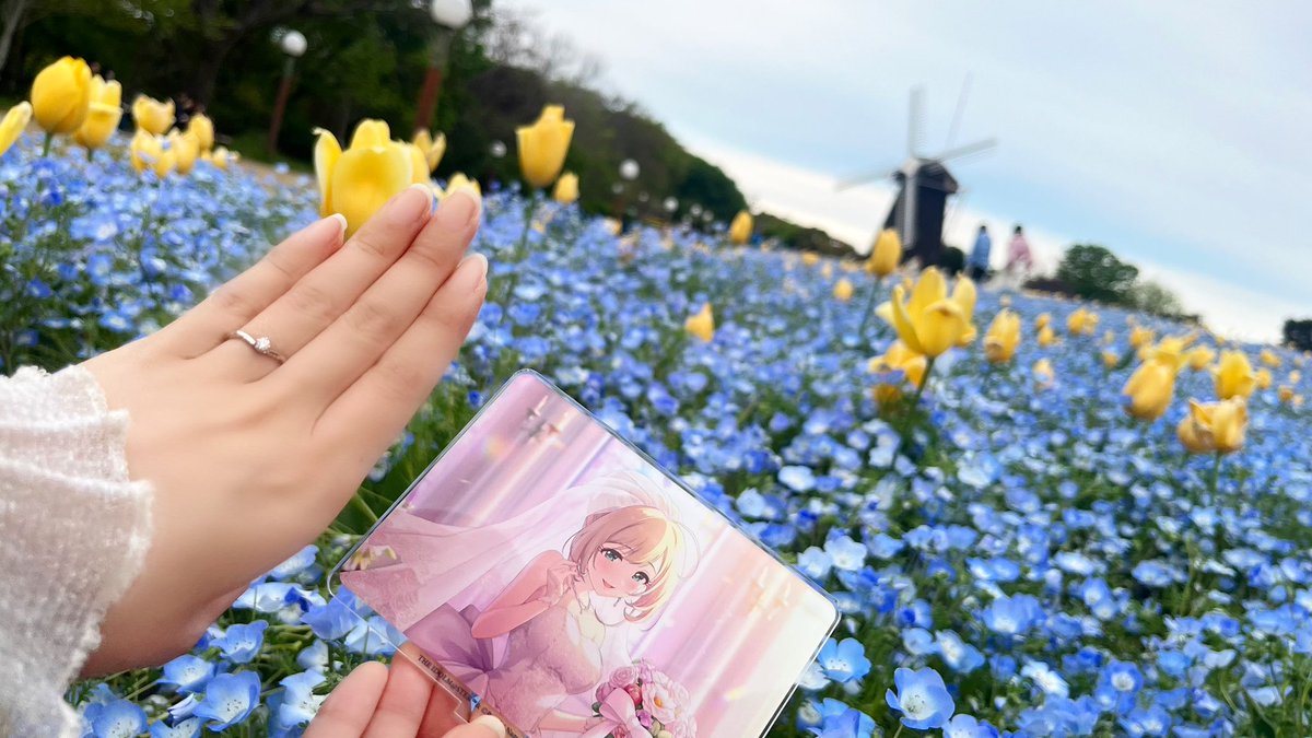 こむ。 tweet media