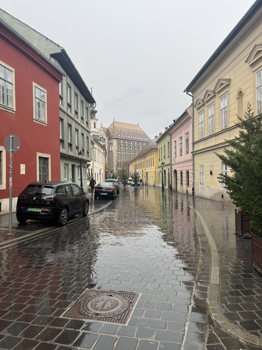 Cotswold Carp Farm Campsite tweet media