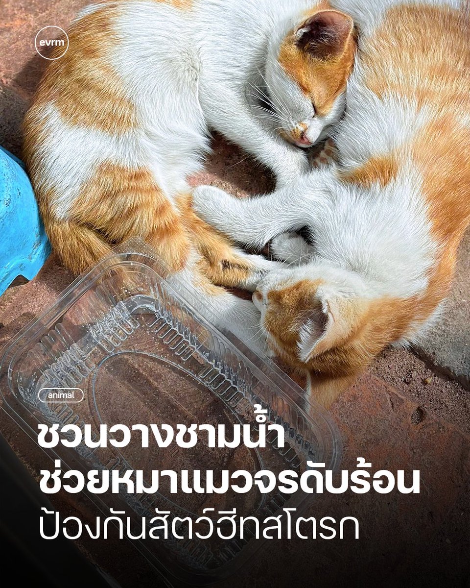 environman tweet media