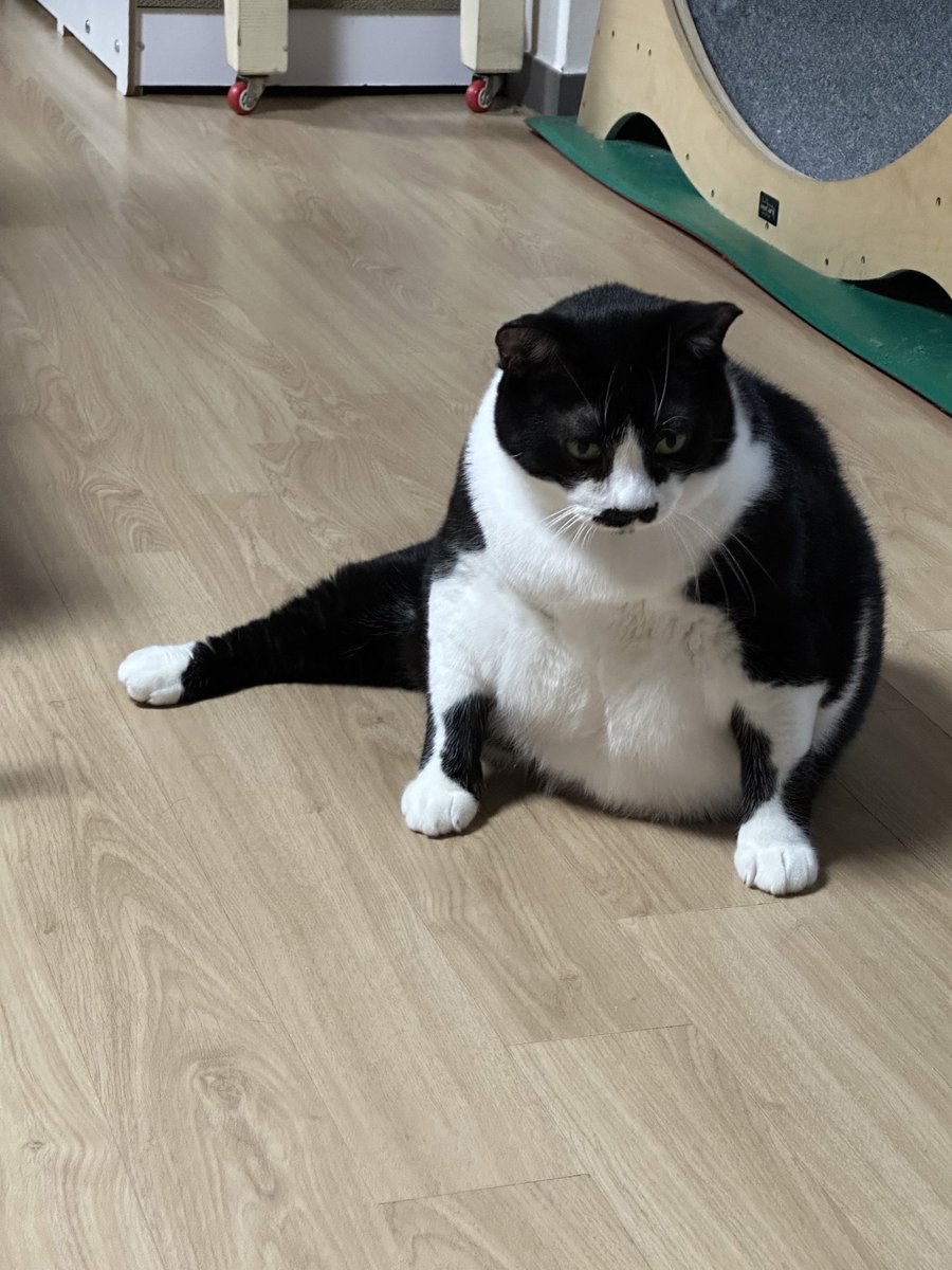 두두두뚜 tweet media