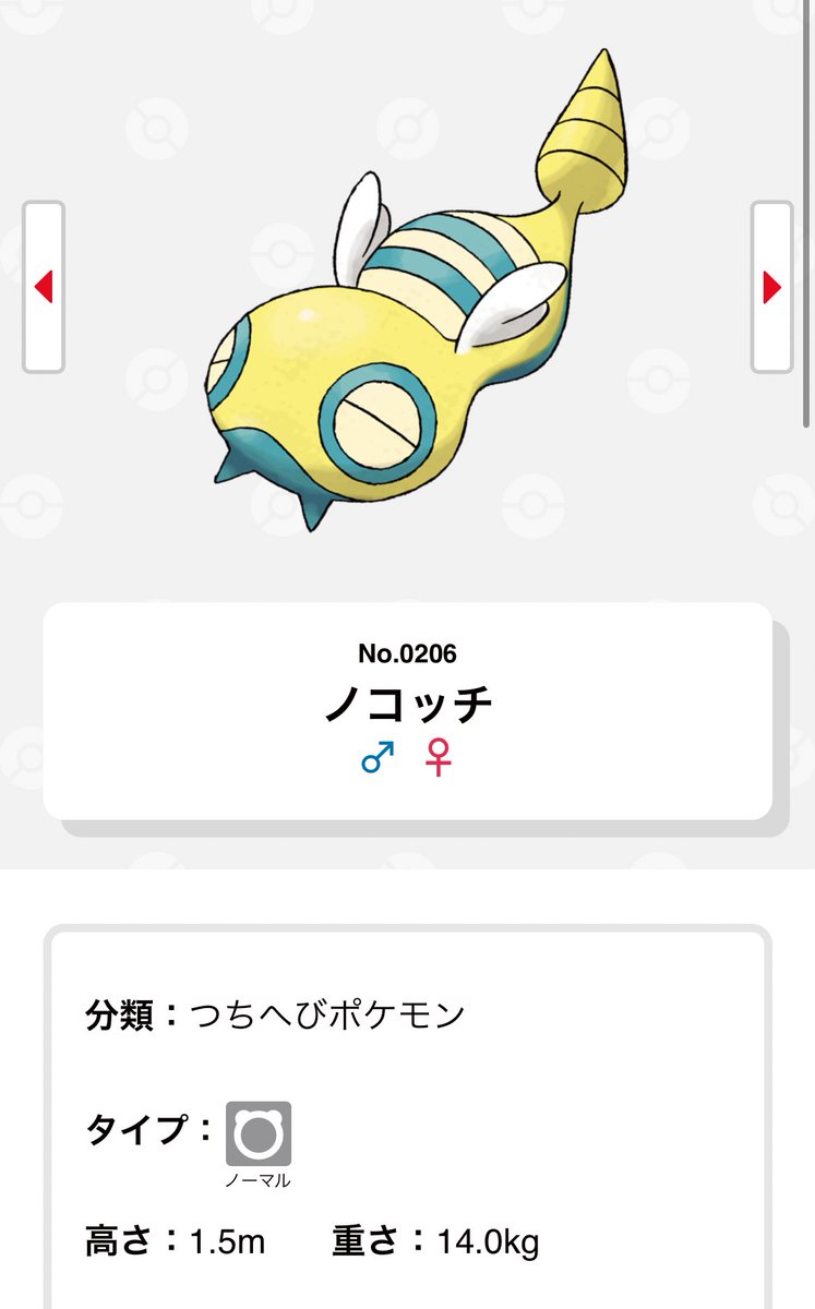 ゆゆ🐨 tweet media