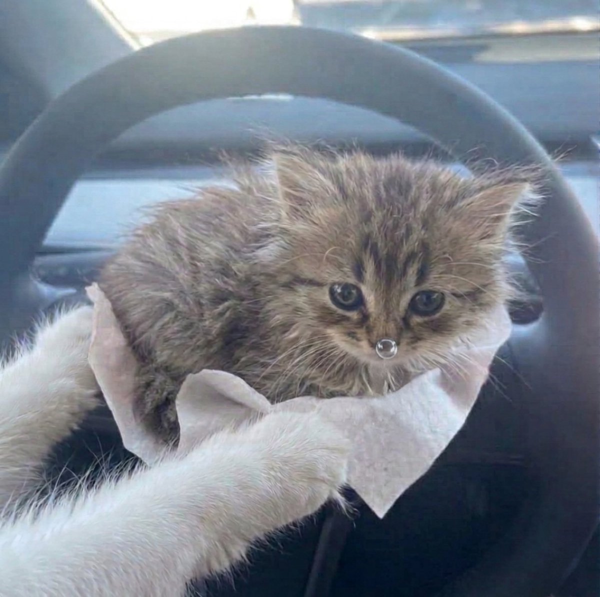 Adaned Bakamlı tweet media