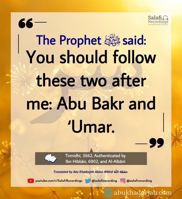 Omer Shoaib/عمر شعيب tweet media