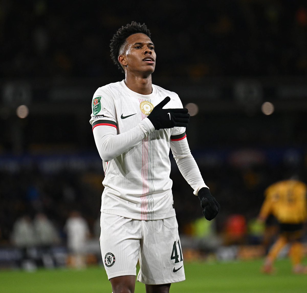 Berneese tweet media