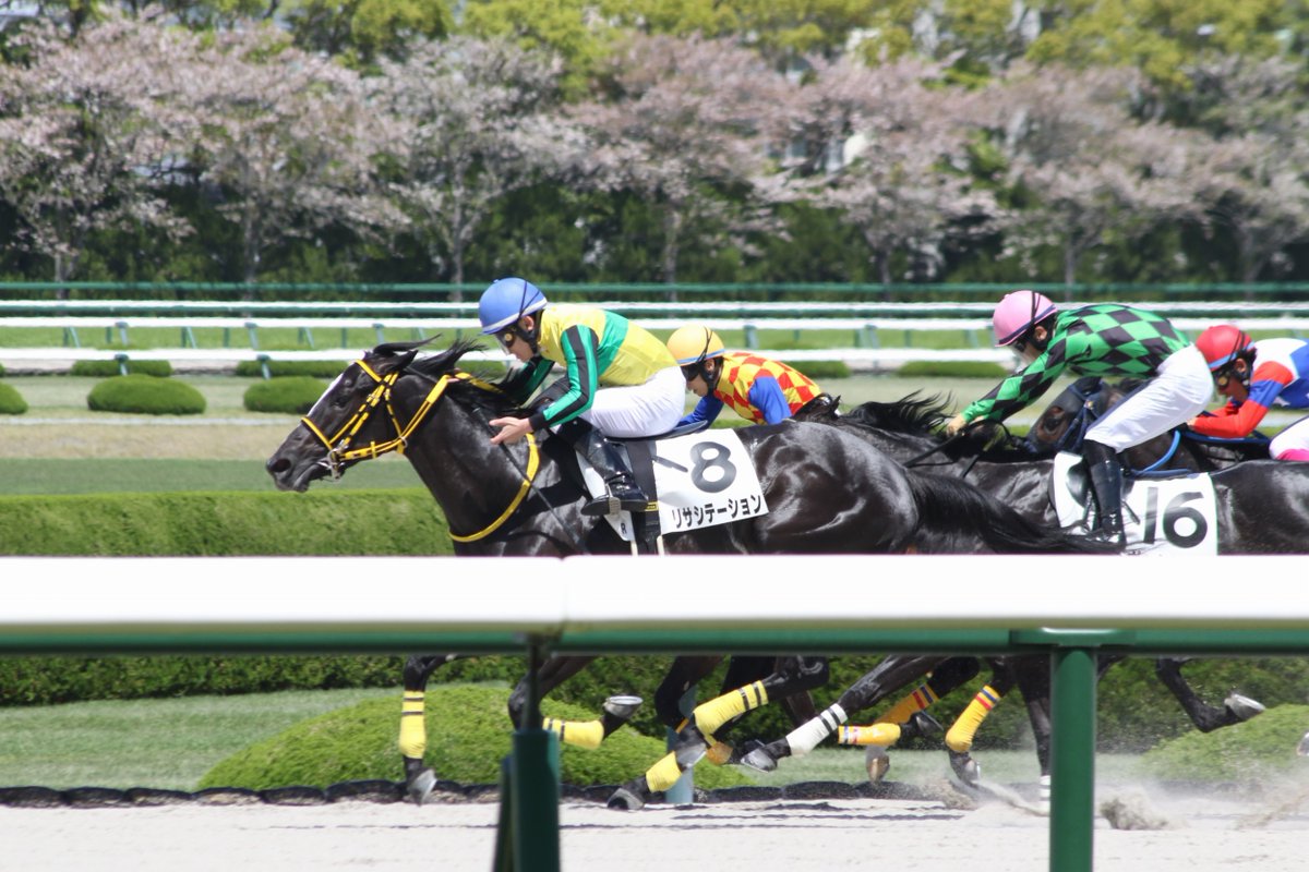 taka.m(分場) tweet media