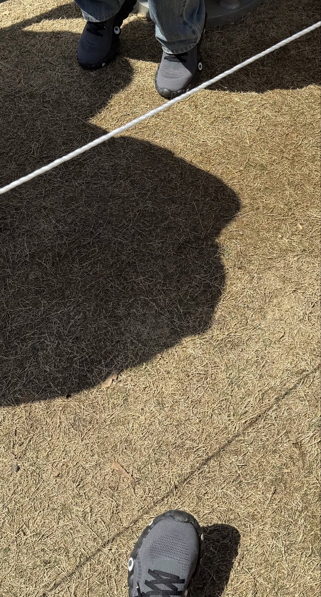 まふにんにん tweet media