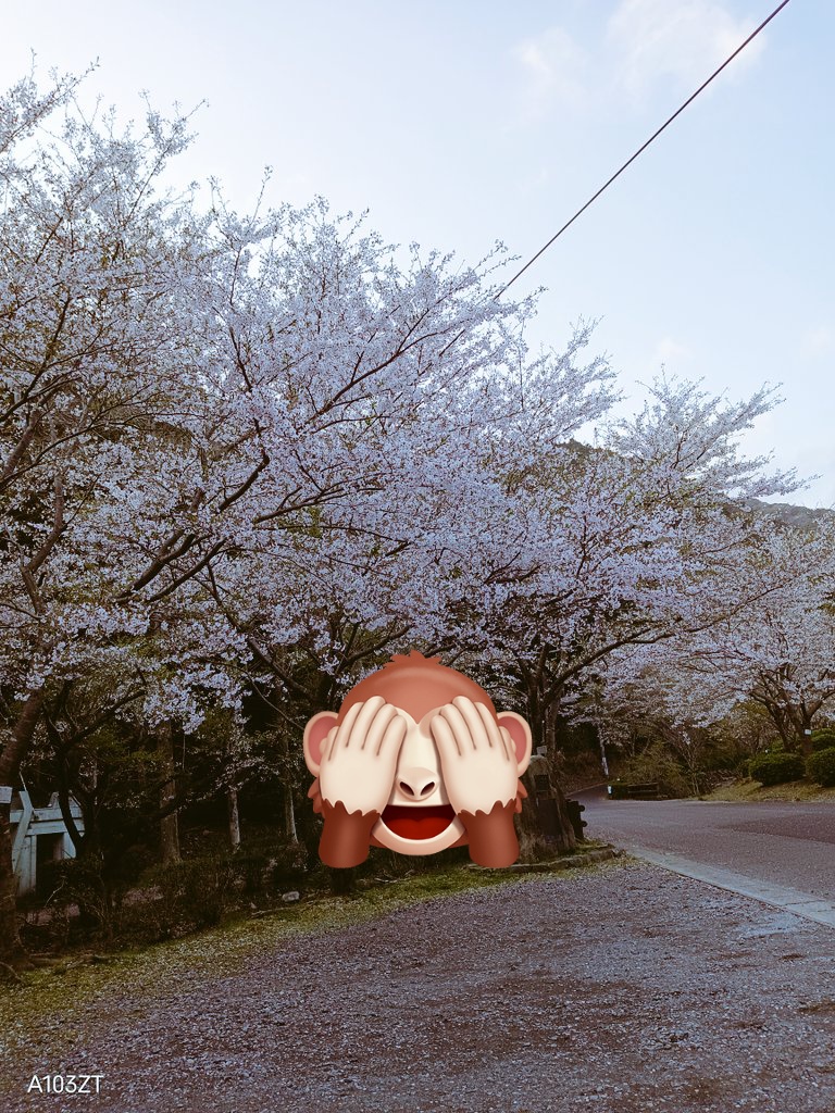 なっちゃん tweet media