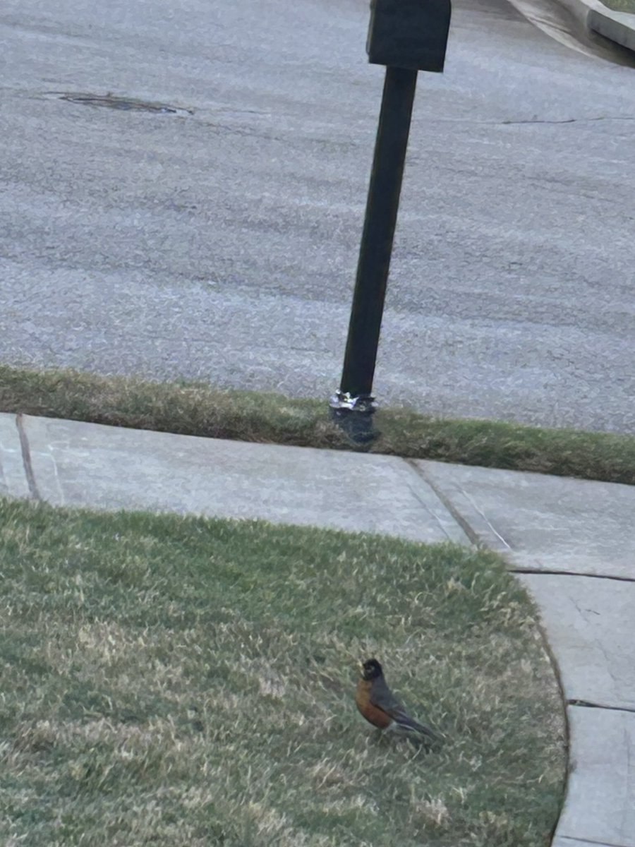 Rasheeda Dye tweet media