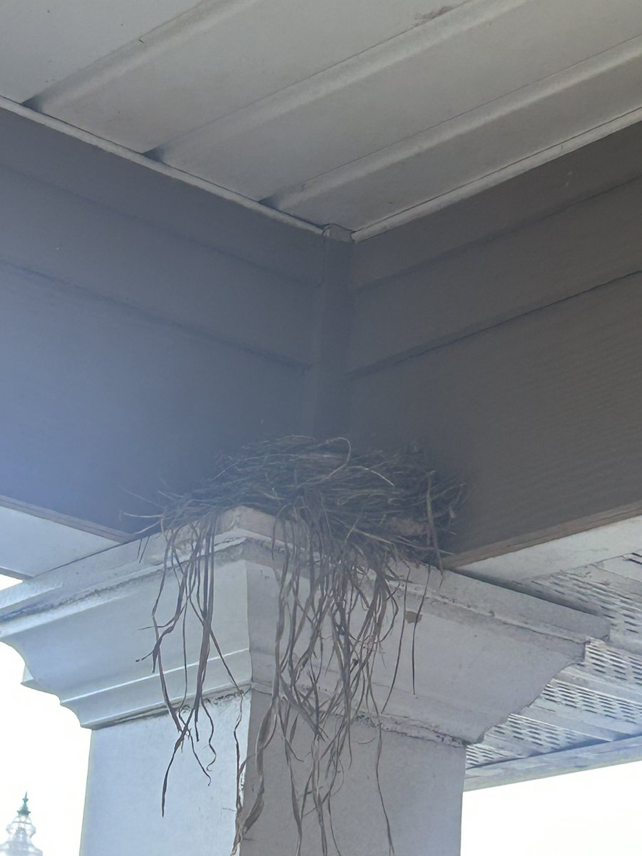 Rasheeda Dye tweet media