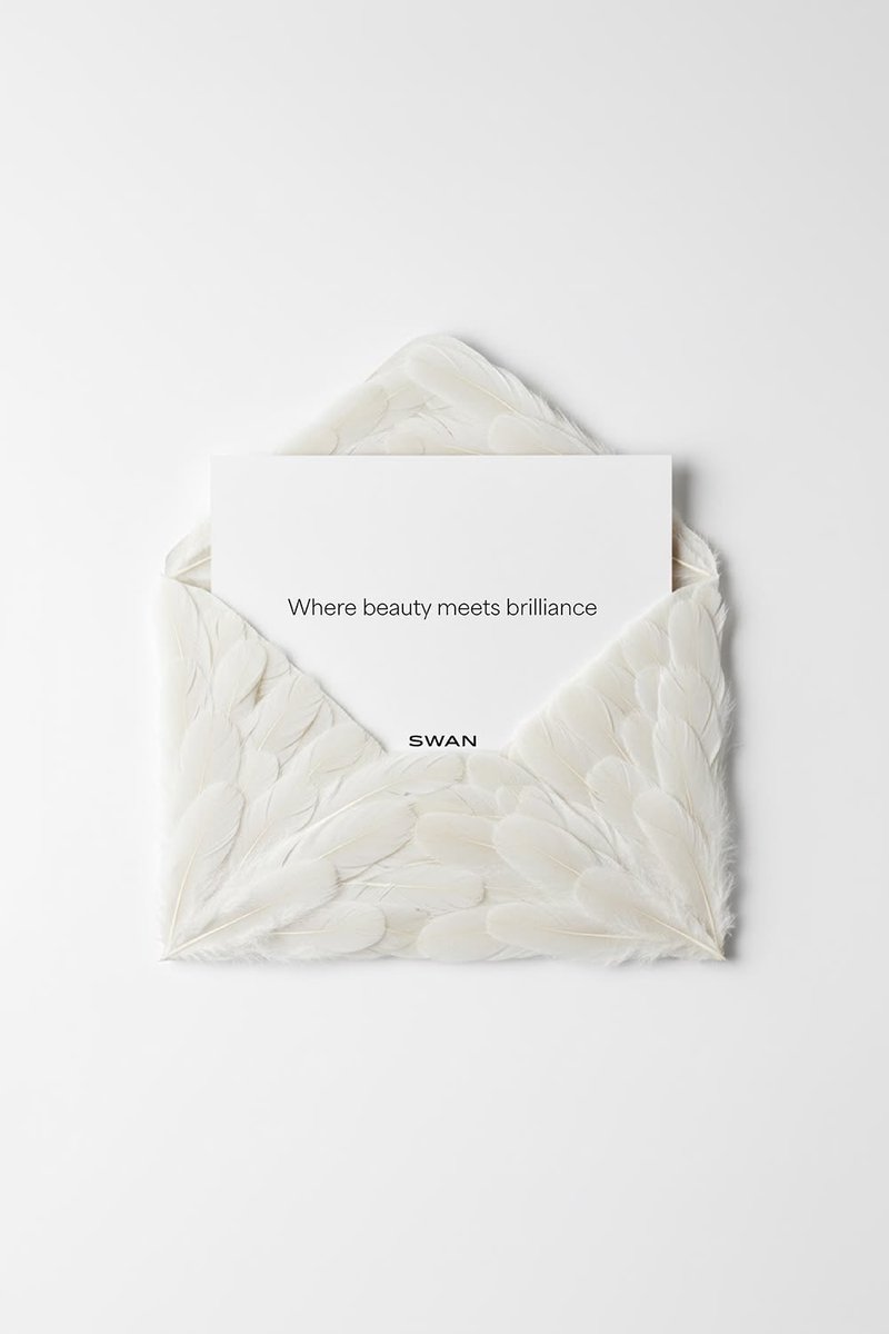 Swan's Diary tweet media