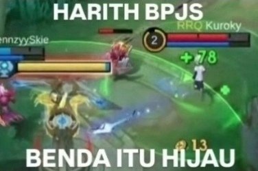 el stein tweet media