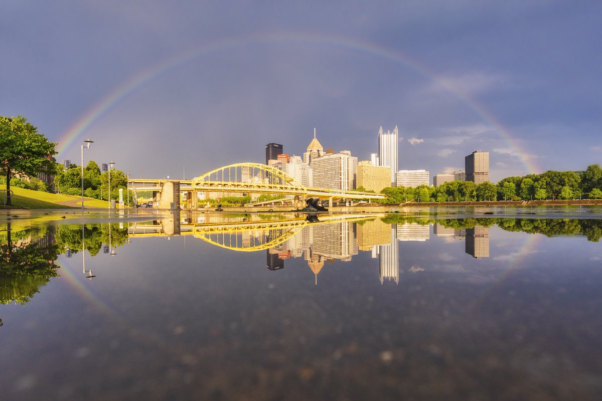 Dave DiCello tweet media