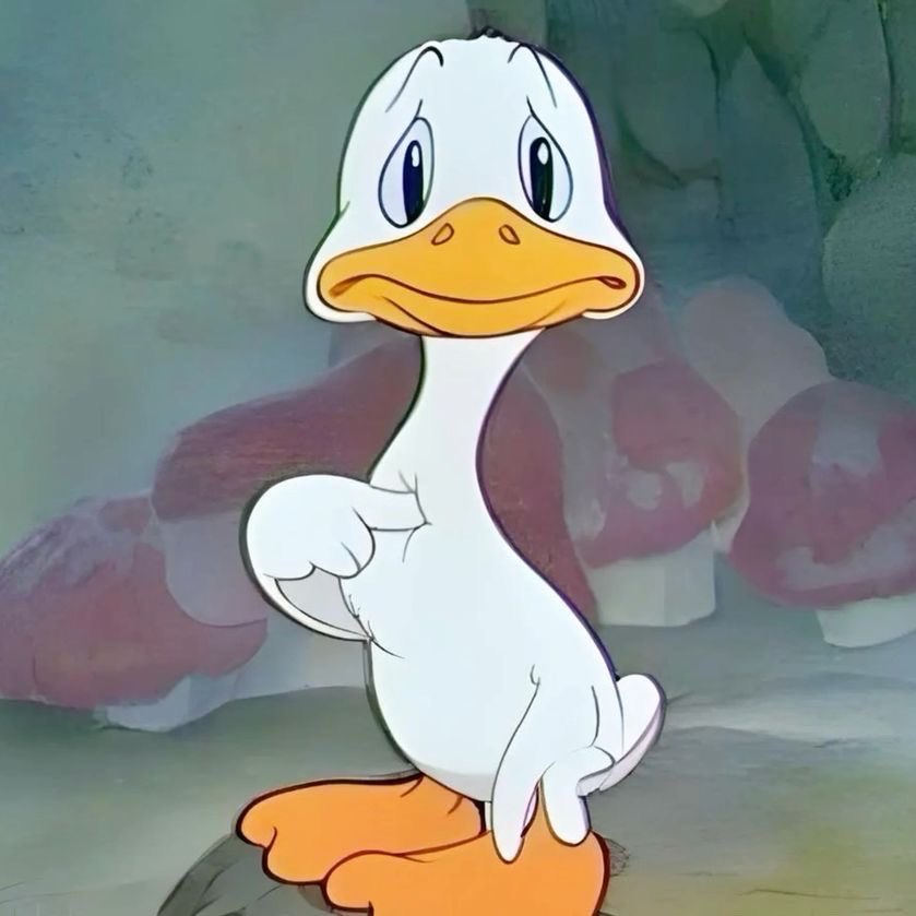 정국⋆ tweet media