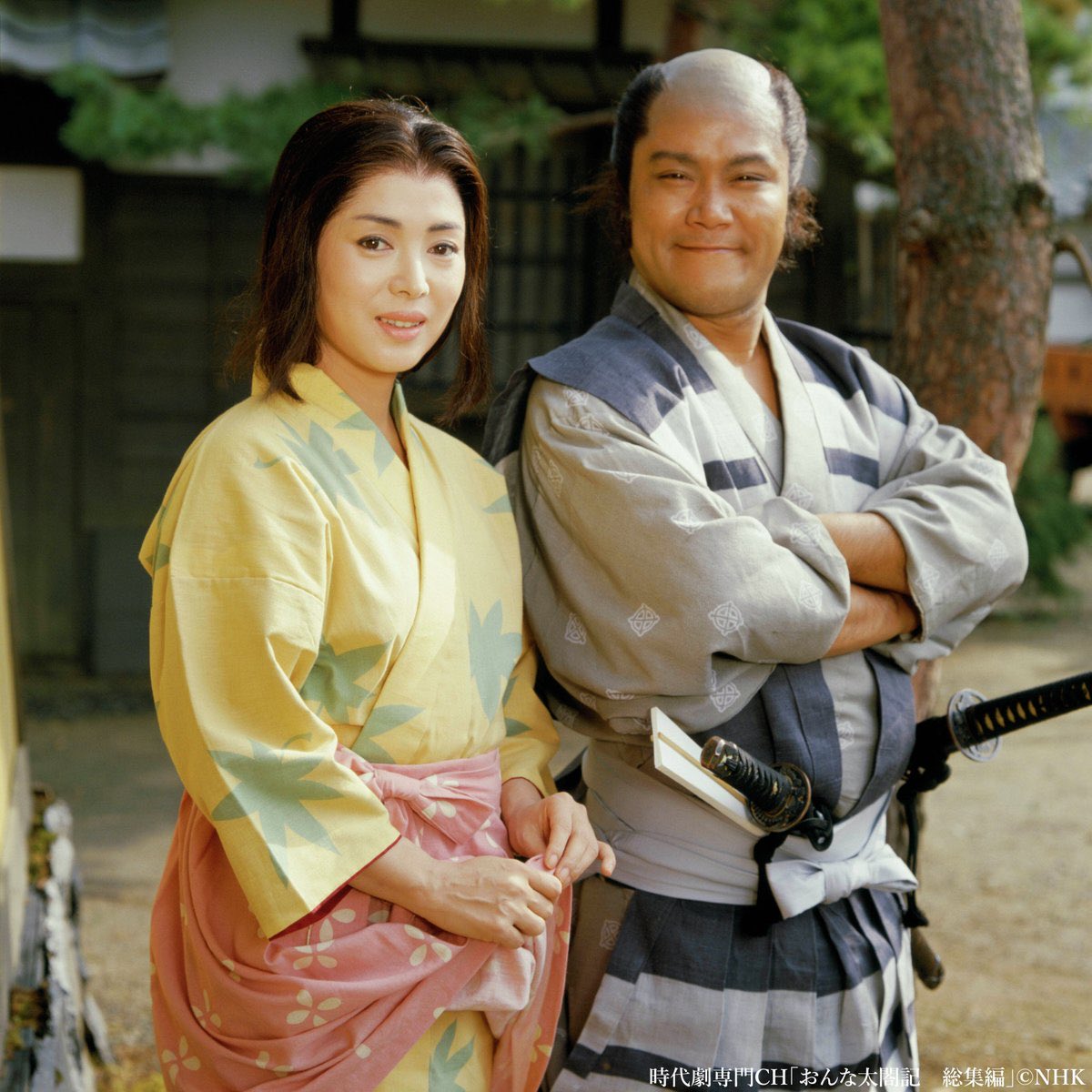 歴史猫hubuki tweet media