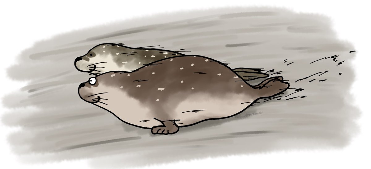 晴(Haru) tweet media