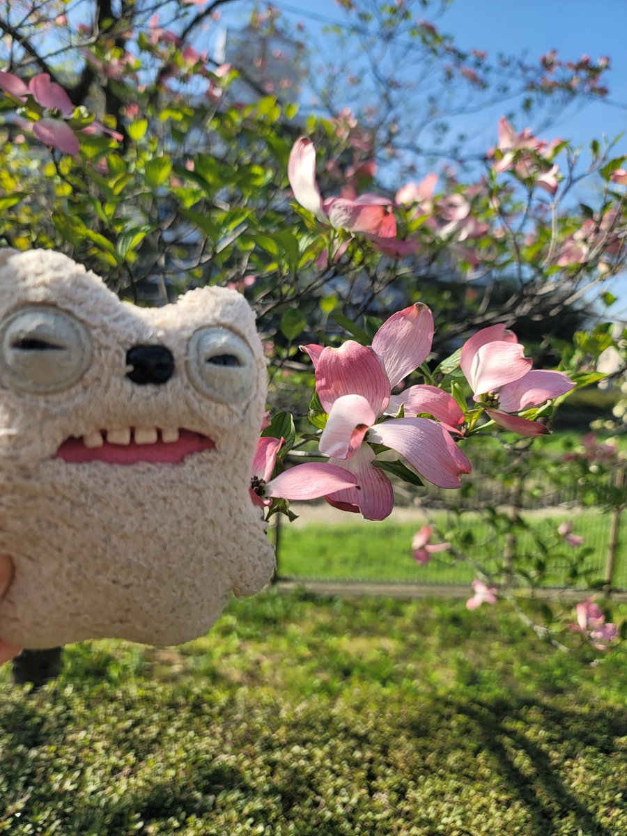 るぅたん tweet media