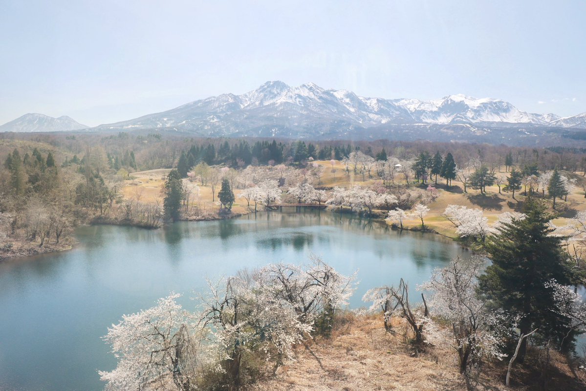 あぽろ tweet media