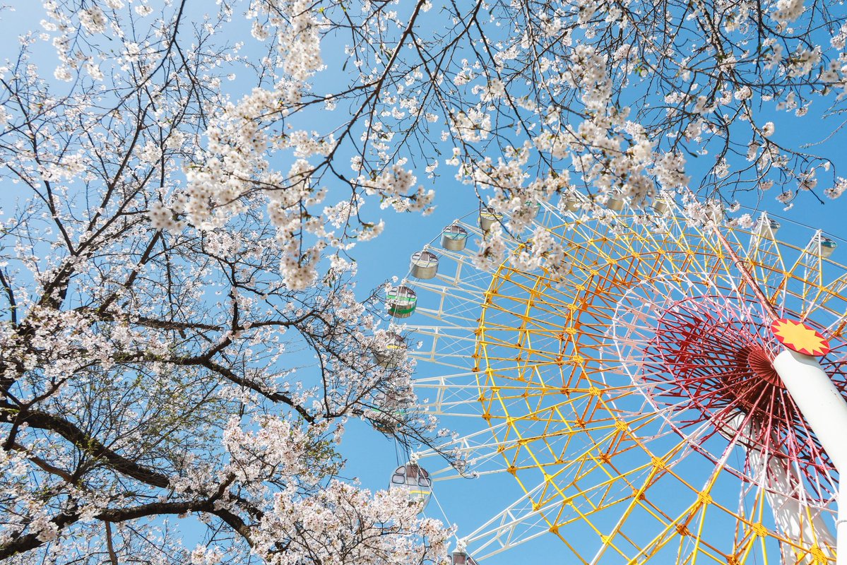 あぽろ tweet media