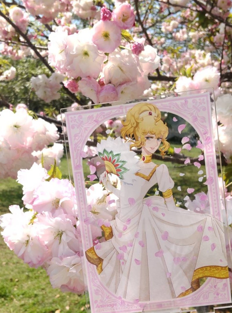 ちはな🔔🌹 tweet media