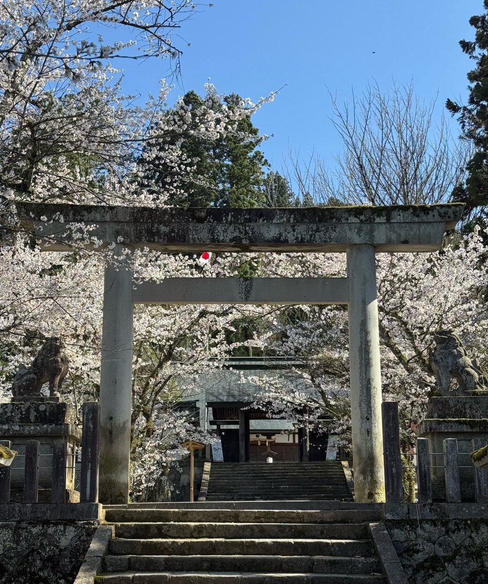 etsu( ｰ̀εｰ́ )🐺🦫♡♡♡ tweet media