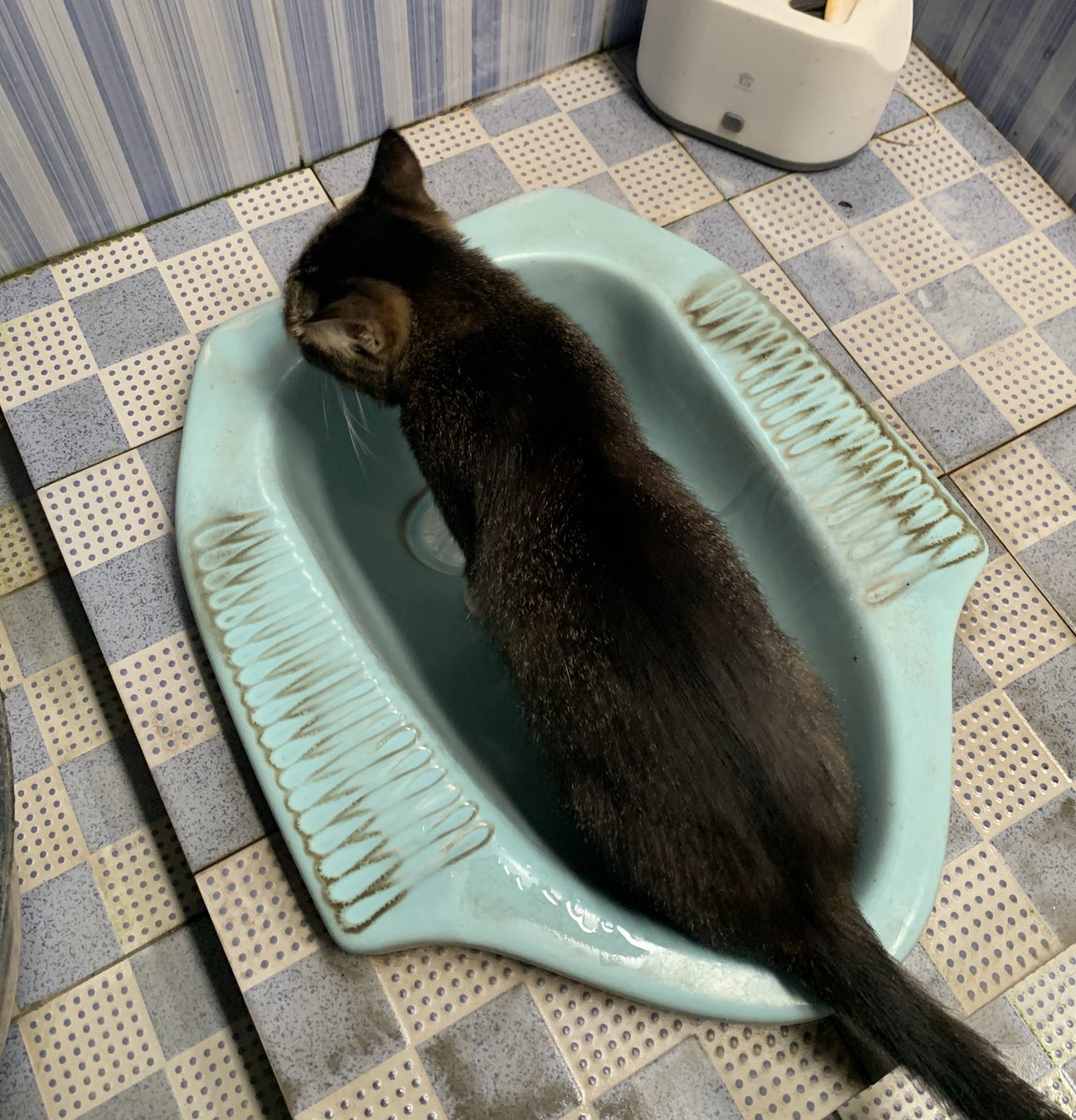 Khanif Irsyad tweet media