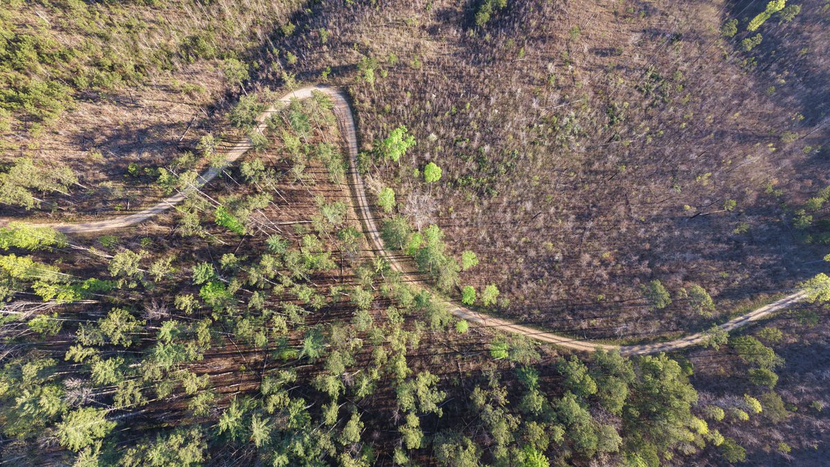 DSeymour tweet media