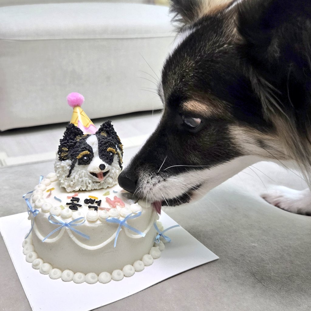 생일케이크 먹어 없애는 중