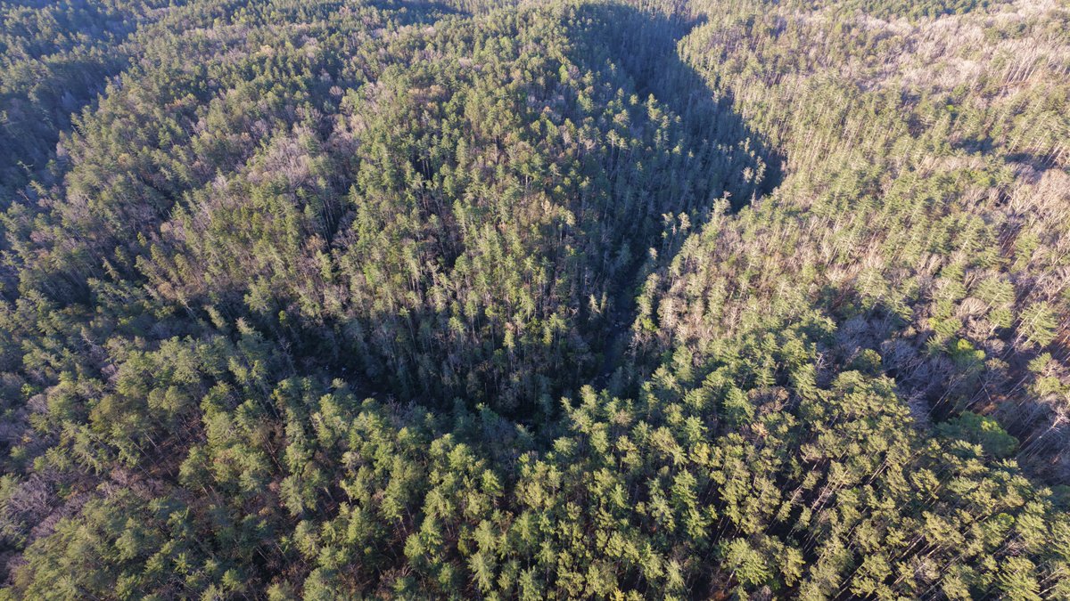 DSeymour tweet media