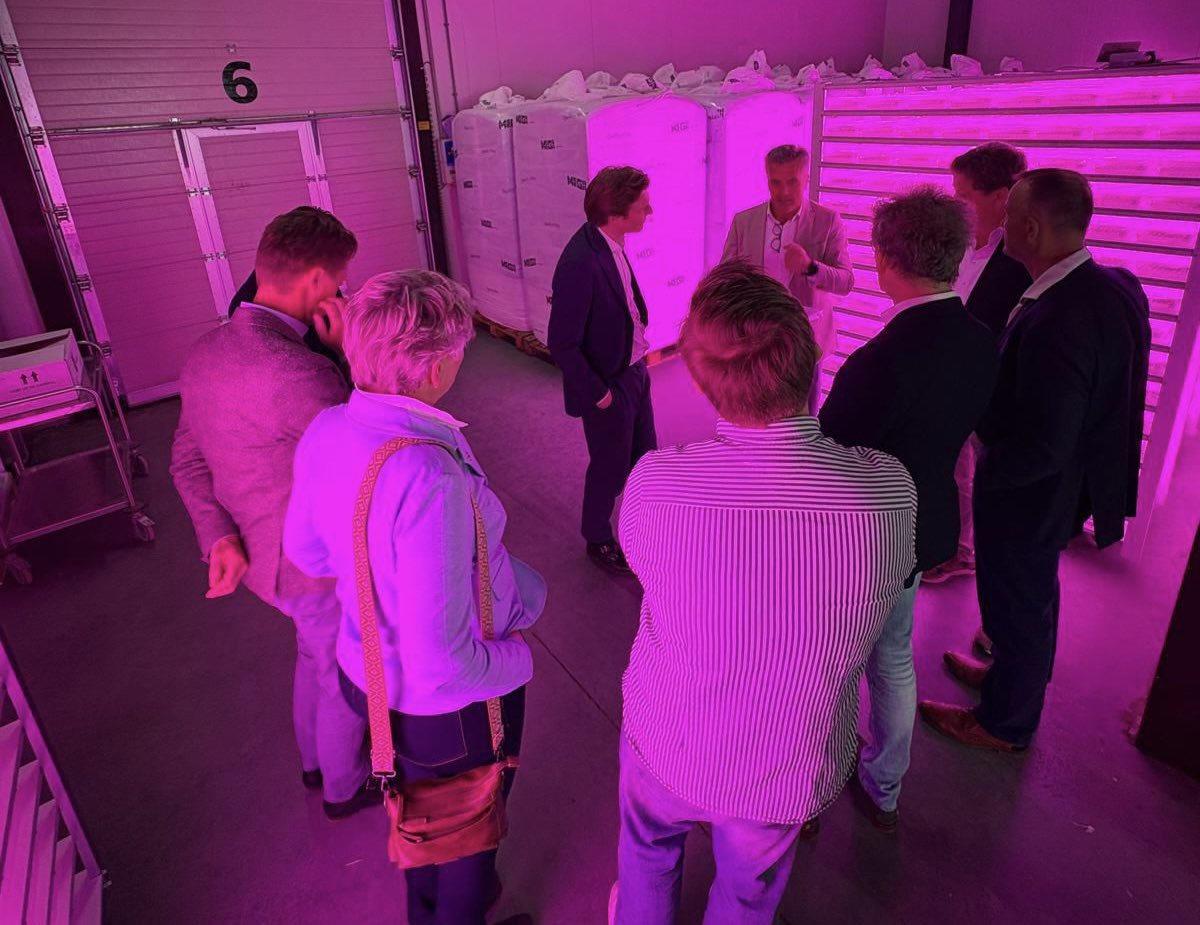 Ruben Brekelmans tweet media