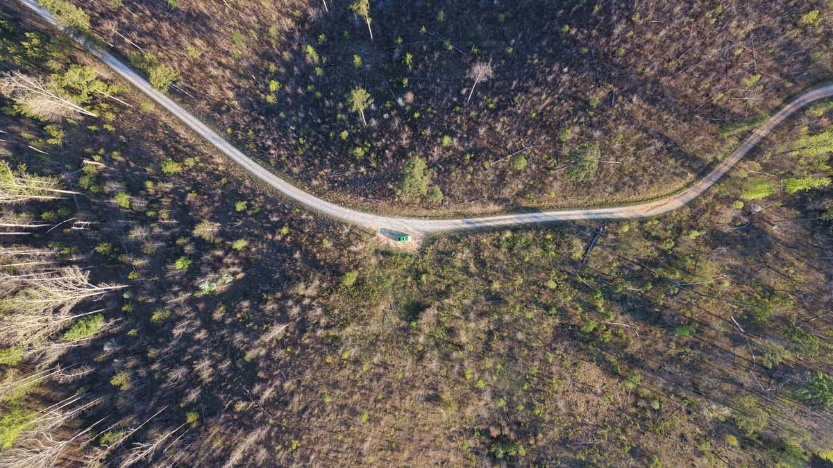 DSeymour tweet media