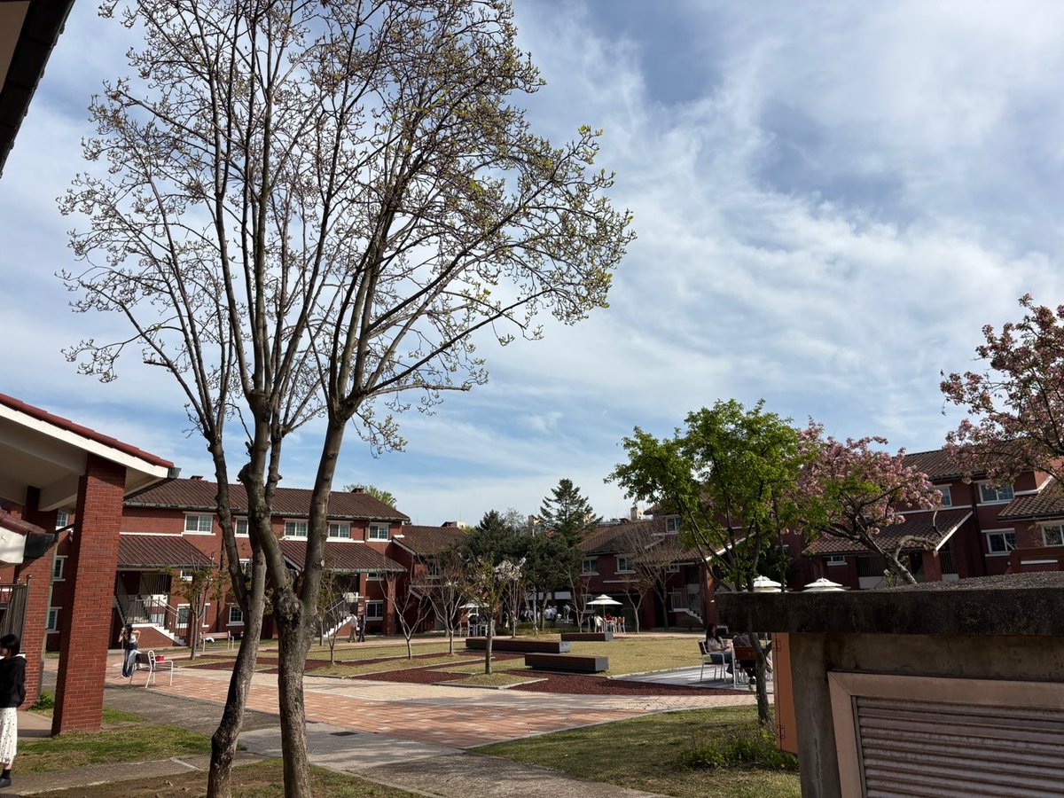 NewBeat Brasil LTE tweet media