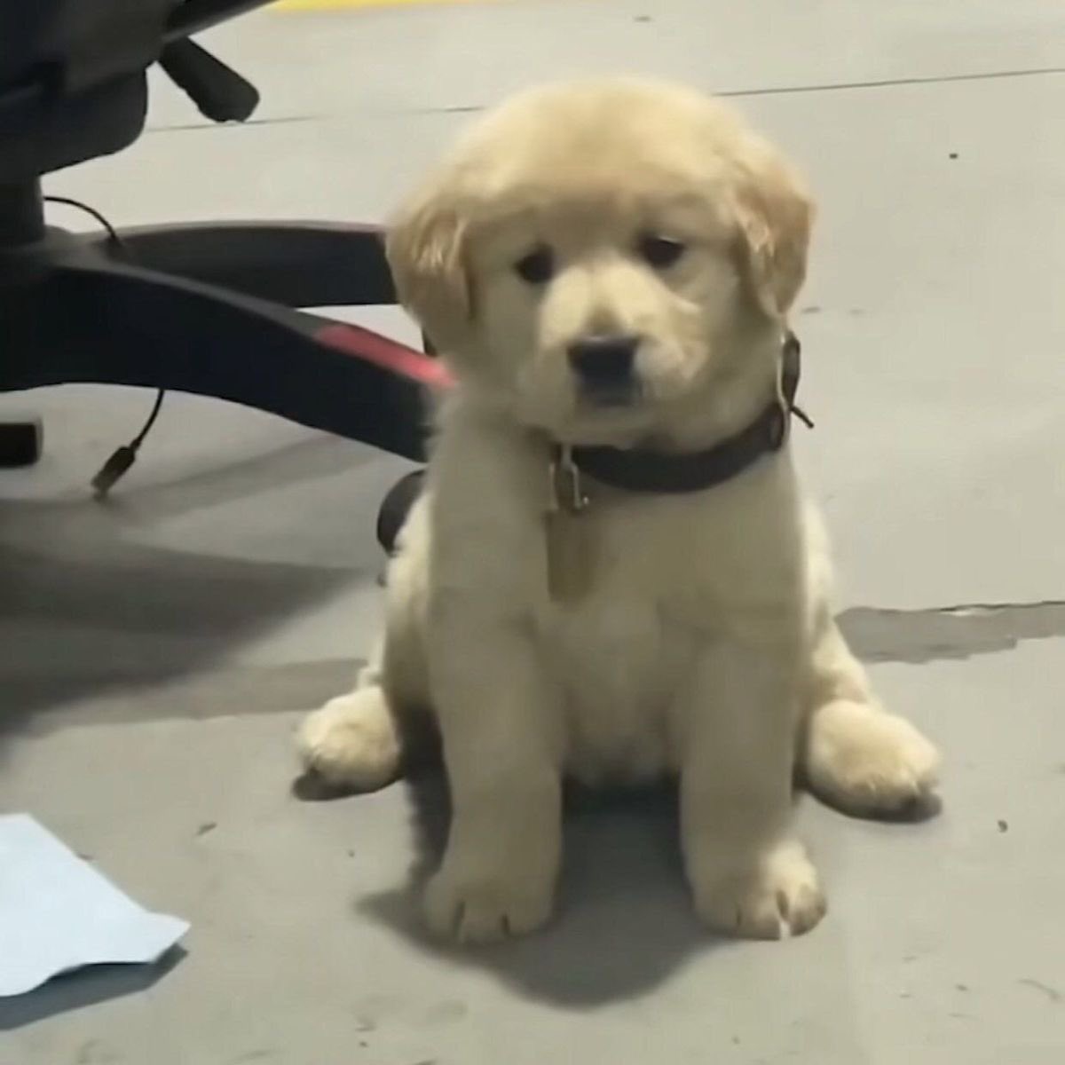 mr.จิ๋วหลิว | *🪷* tweet media