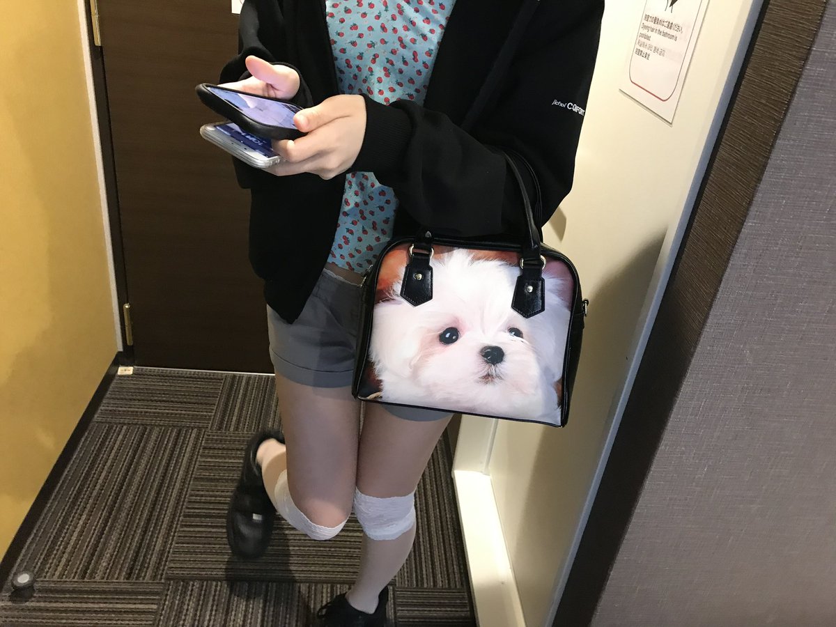Chi (@chichii_8) on Twitter photo 