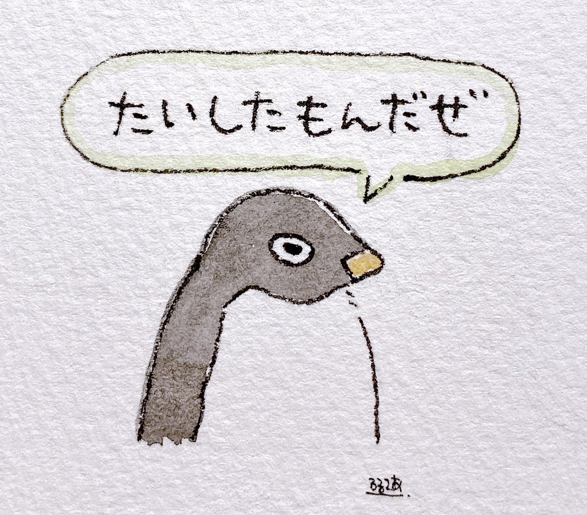 たぬきどん tweet media