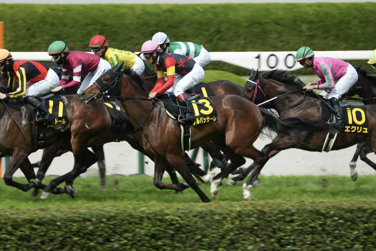 サビヌキコペン tweet media