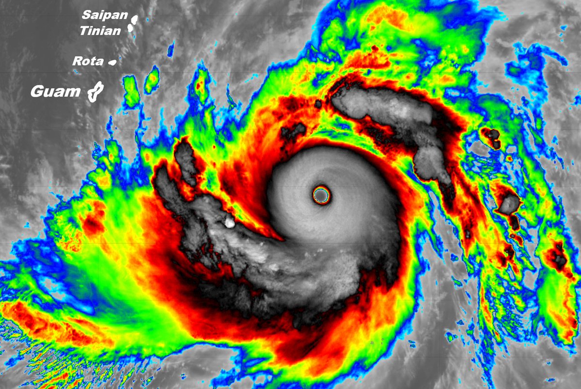 Josh Morgerman tweet media