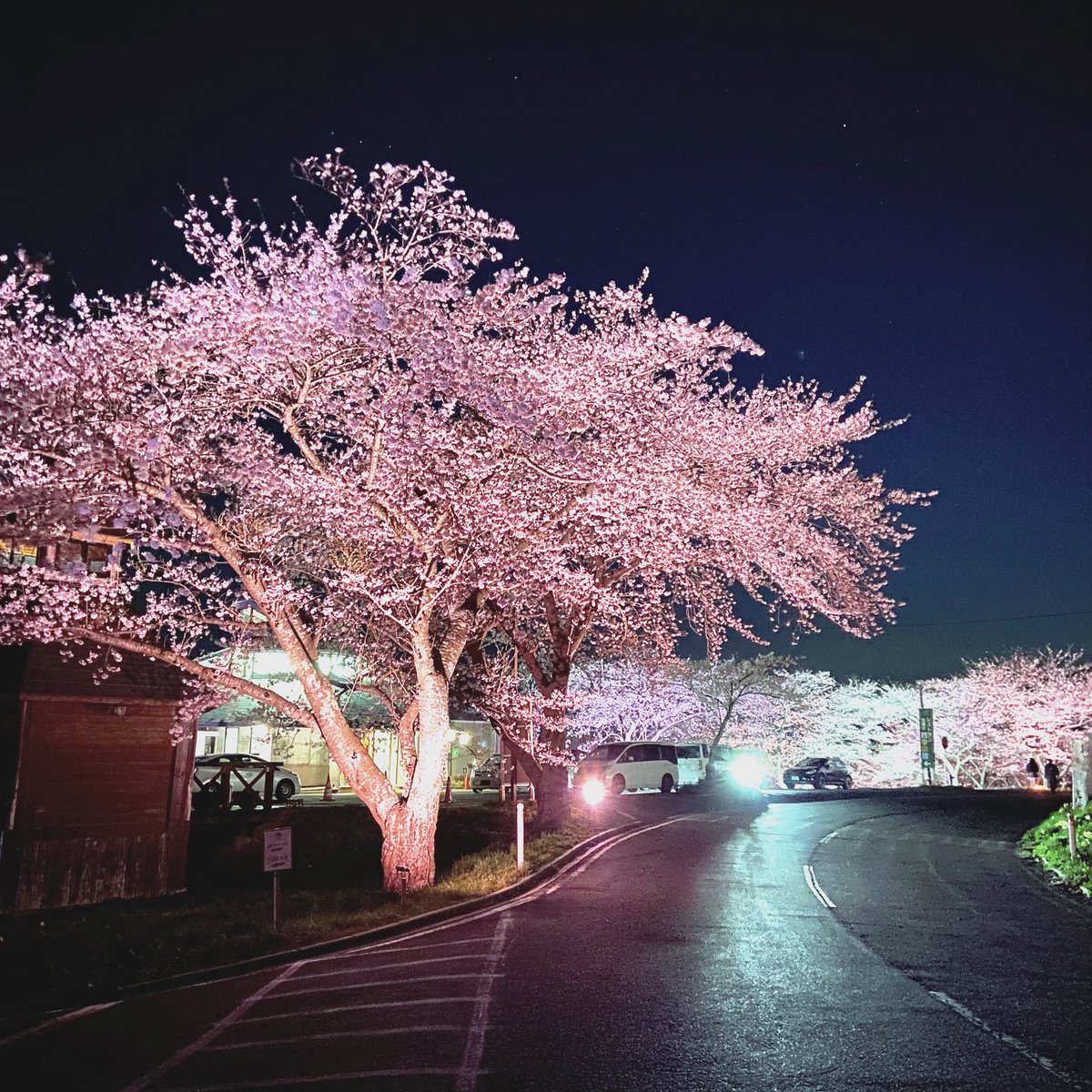 Tanji (タンジ) ／ 宮城県のどこでしょうか？クイズ写真もやってます tweet media