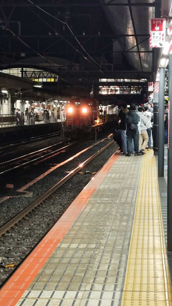 乗り出し、脚立や三脚立ててる人もいたらしいです (写真は友達提供)