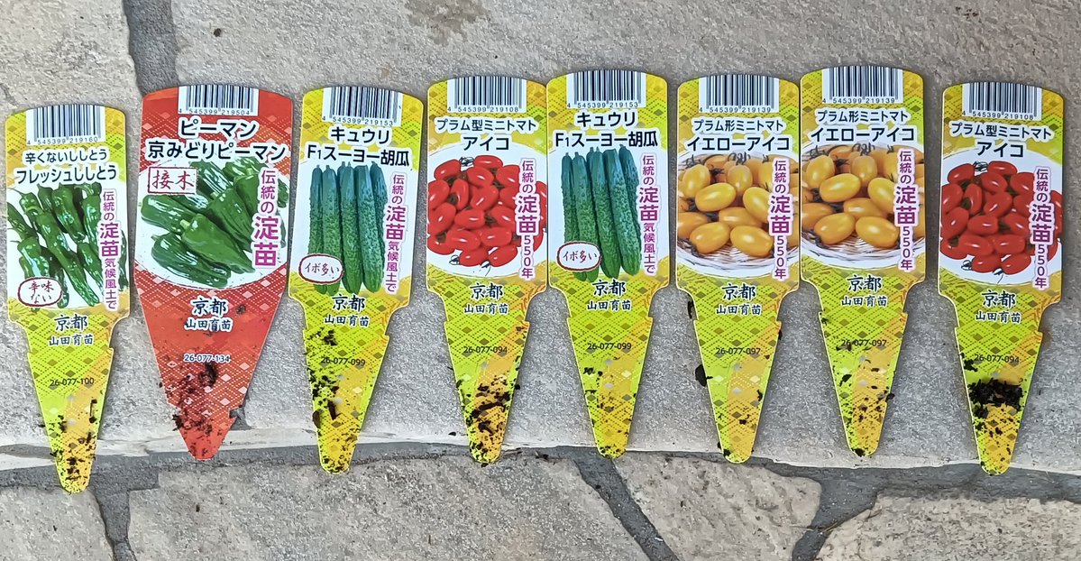 Fusion2040 | 核融合発電 tweet media