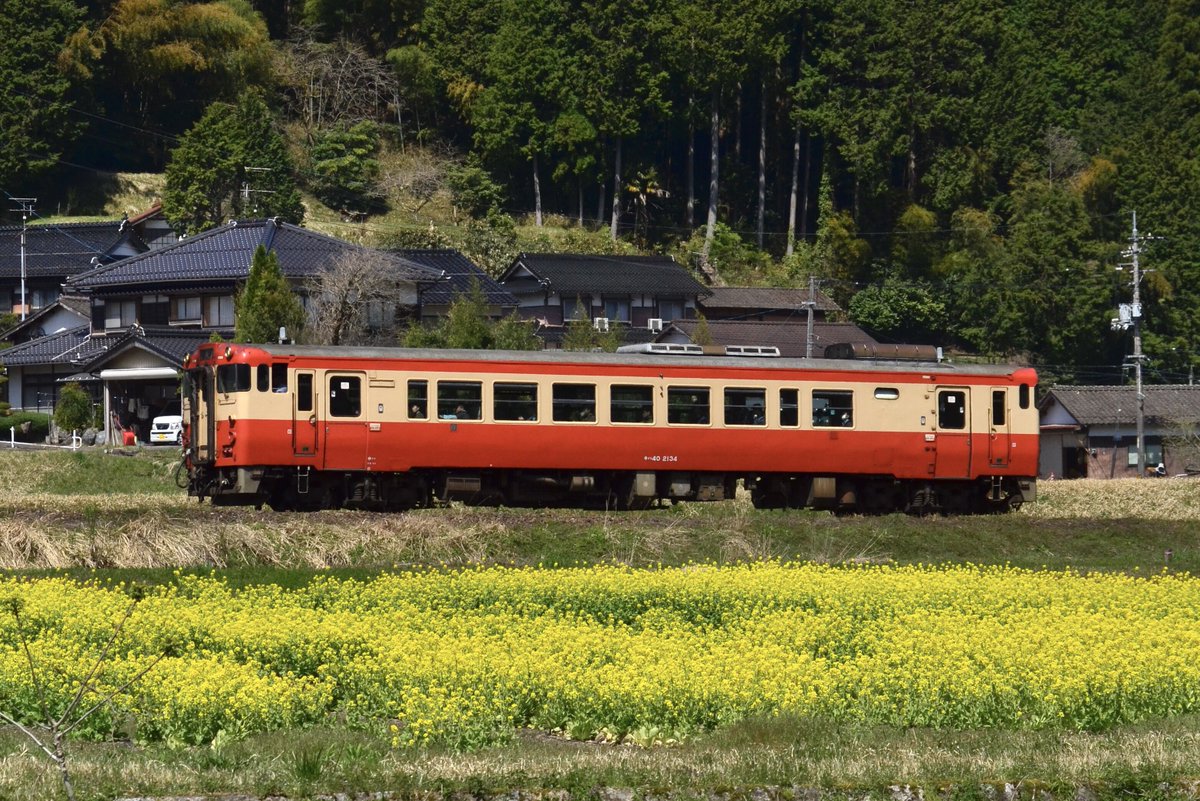 topunan_bot's tweet photo. クラブツーリズム団体臨時列車
キハ40-2134

岡山のヨンマルが智頭を飛び越えて鳥取までやって来るということで撮影に。春らしい景色とノスタルジー色とのコラボレーションが見られて��かったです。 https://t.co/deegiVmc3y